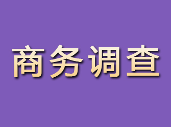 海阳商务调查